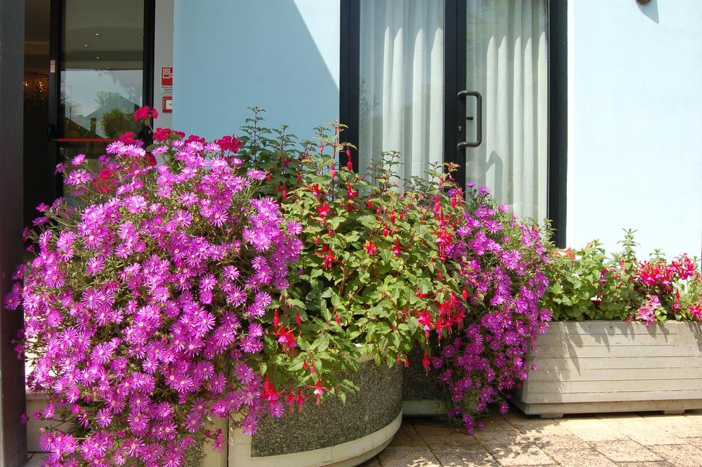 Hotel Massimo Cervia Exterior foto